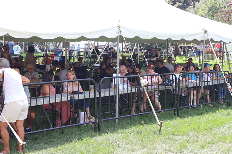 Crowd gathered at Arts Picnic 2023