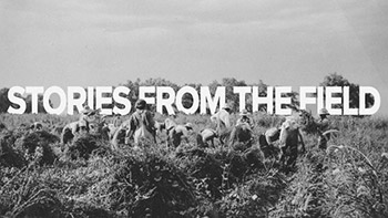 350-storiesFromTheField-Header_small