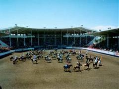 Arena and Grandstands