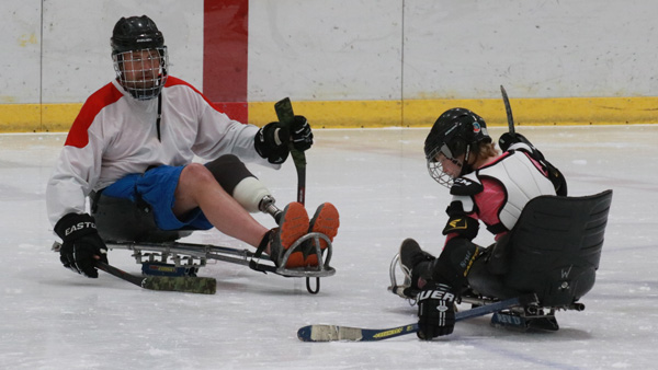 SledHOckey