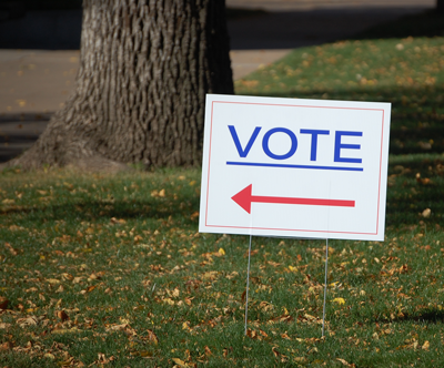 vote