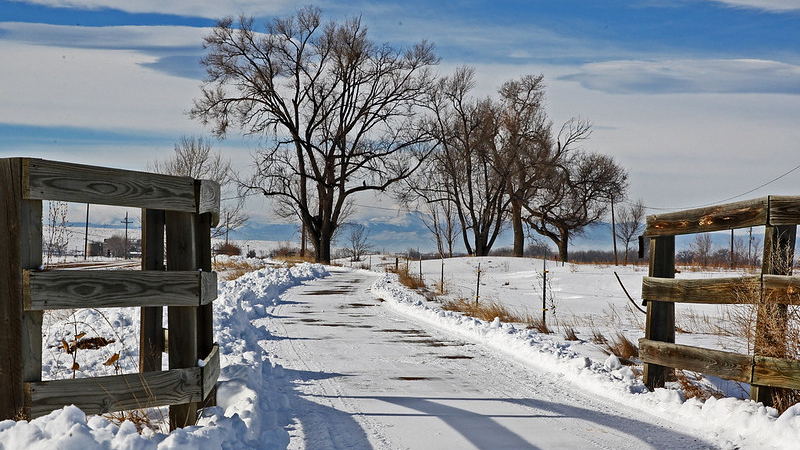 Winter-On-the-Trail