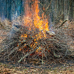 Collection of sticks and branches on fire in a wooded area