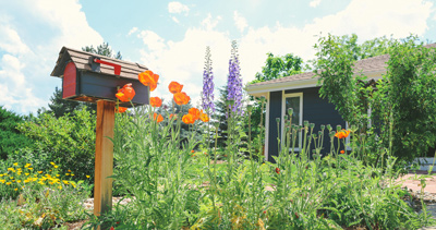 Garden-In-A-Box-Home-7a-SMALL