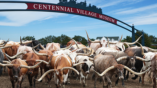 Greeley-Stampede-Centennial-Village-Museum