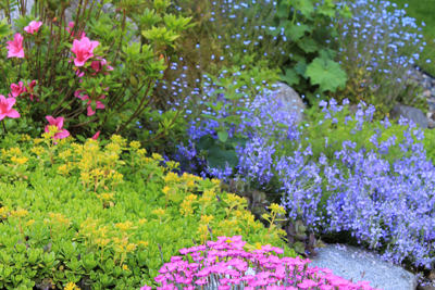 Colorful- waterwise landscapes