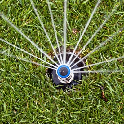 iStock_000012851035_crop