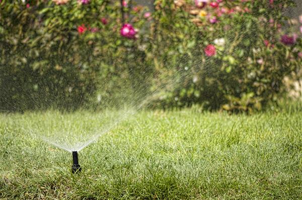 A sprinkler watering a lawn. 