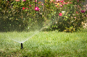 A sprinkler watering a lawn.