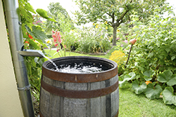 RainBarrel2